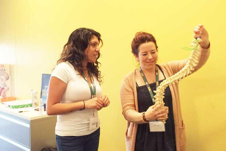 Two women examining a model of the spine